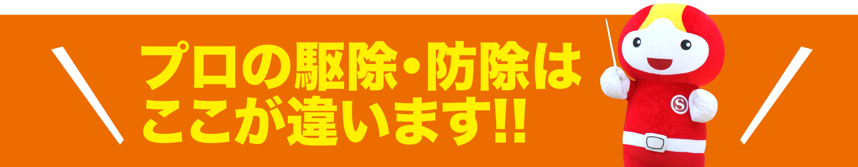 プロの駆除・防除はここが違います