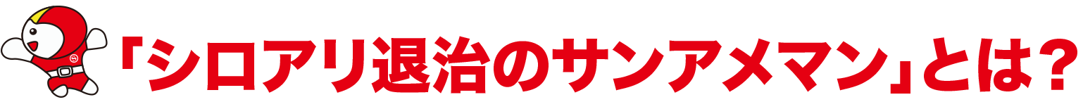 シロアリ退治のサンアメマン