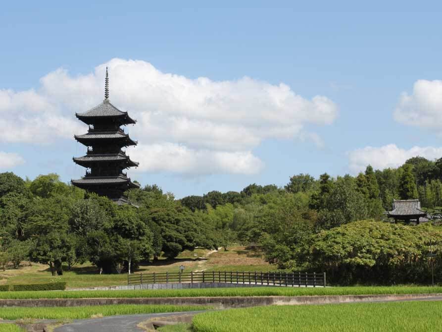 防除実績/備中国分寺