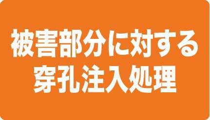 被害部分に対する穿孔注入処理