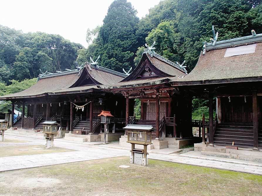 防除実績/熊野神社
