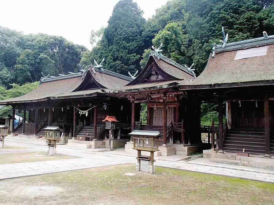 防除実績/熊野神社